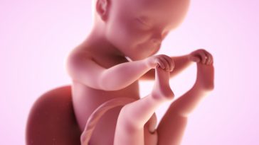 fetus saptamana 35 de sarcina