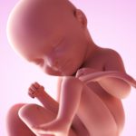 fetus in saptamana 33 de sarcina