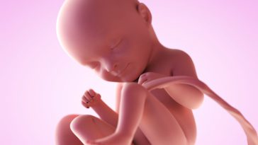 fetus in saptamana 33 de sarcina