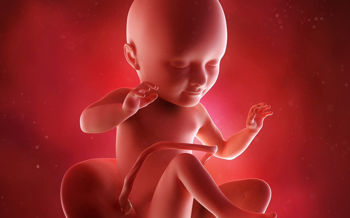 fetus in saptamana 34 de sarcina