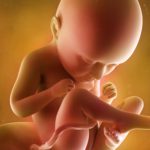 fetus in saptamana 35 de sarcina