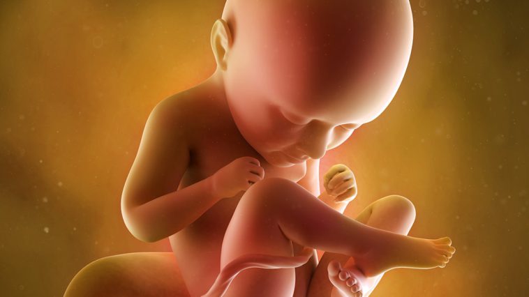 fetus in saptamana 35 de sarcina
