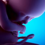 fetus in saptamana 36 de sarcina