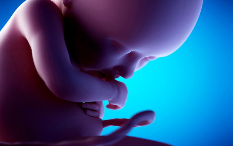 fetus in saptamana 36 de sarcina