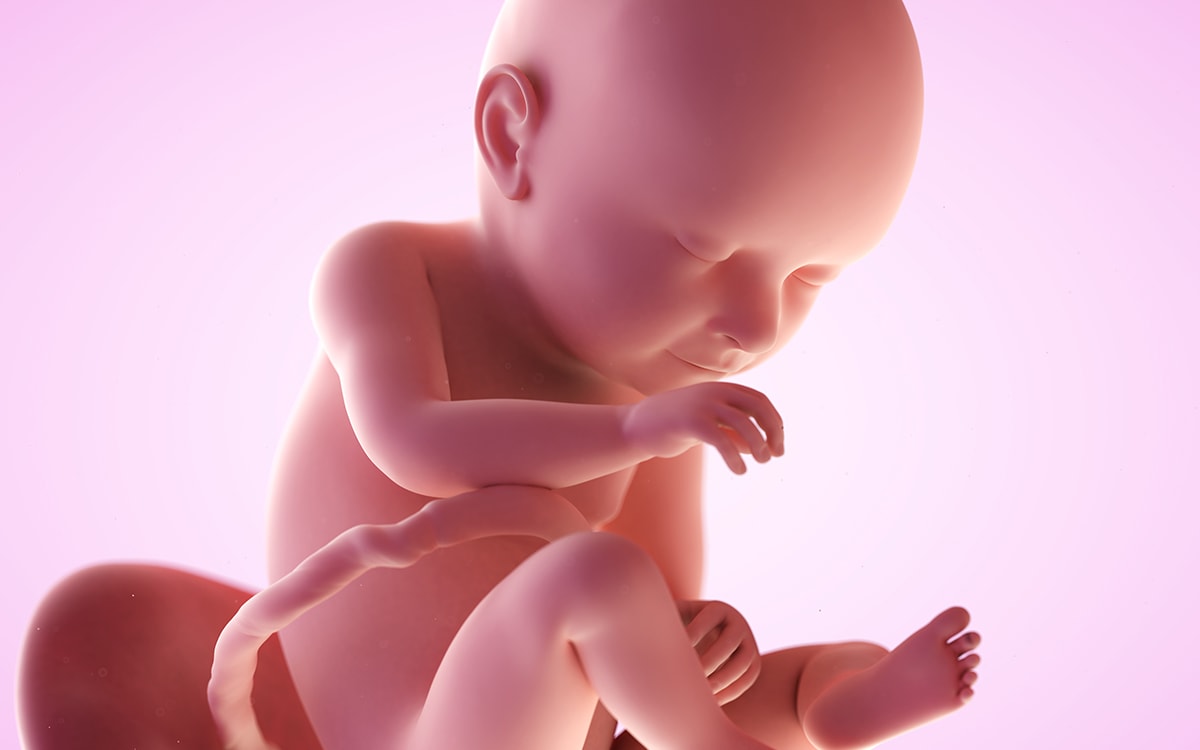 fetus in saptamana 37 de sarcina