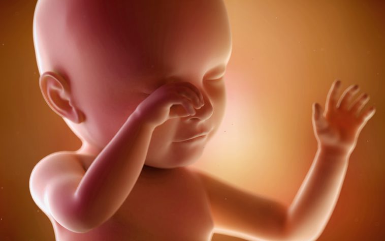 fetus in saptamana 39 de sarcina