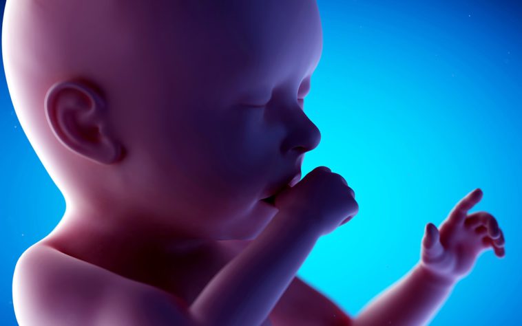 fetus in saptamana 40 de sarcina